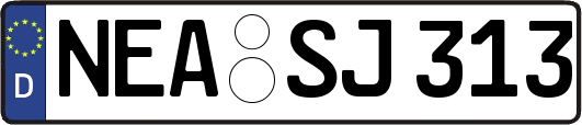 NEA-SJ313