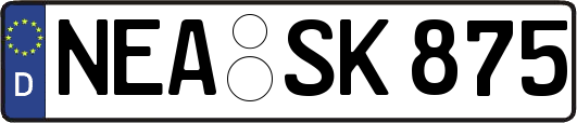NEA-SK875