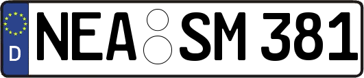 NEA-SM381