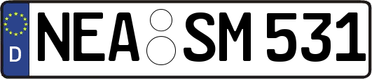 NEA-SM531