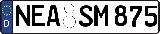 NEA-SM875