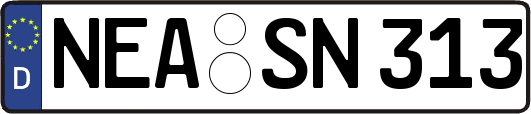 NEA-SN313