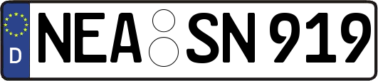 NEA-SN919