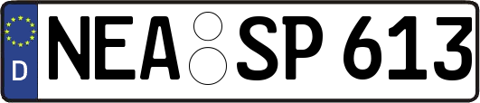 NEA-SP613