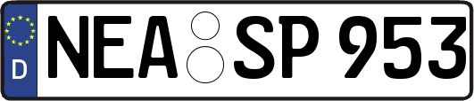 NEA-SP953