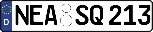 NEA-SQ213