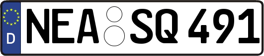 NEA-SQ491