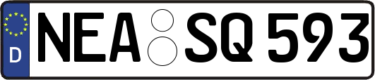 NEA-SQ593