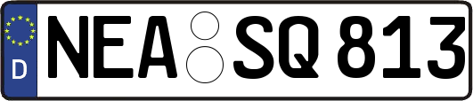NEA-SQ813