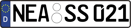 NEA-SS021