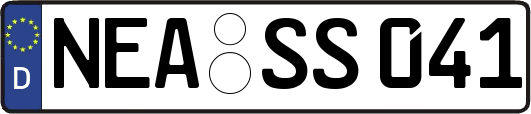 NEA-SS041