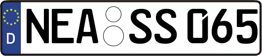 NEA-SS065