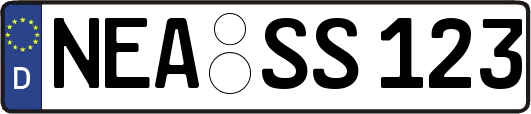 NEA-SS123