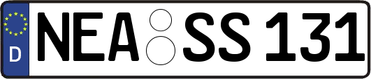 NEA-SS131