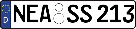 NEA-SS213