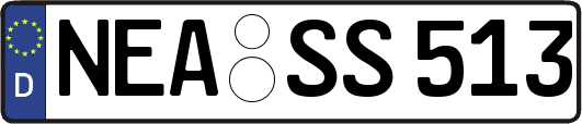 NEA-SS513