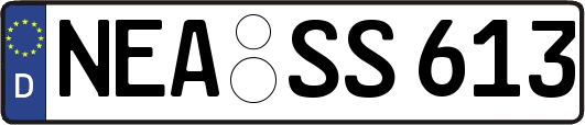 NEA-SS613