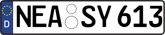 NEA-SY613
