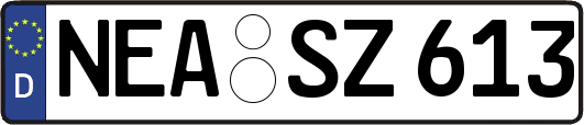 NEA-SZ613