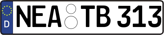NEA-TB313
