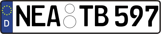 NEA-TB597