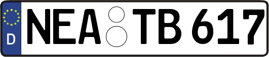 NEA-TB617