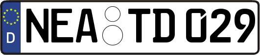 NEA-TD029