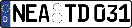 NEA-TD031