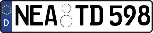 NEA-TD598