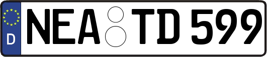 NEA-TD599