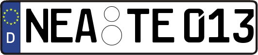 NEA-TE013