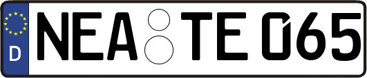NEA-TE065