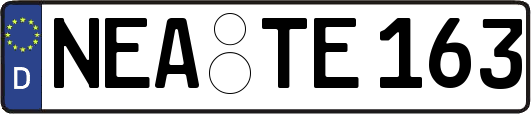 NEA-TE163
