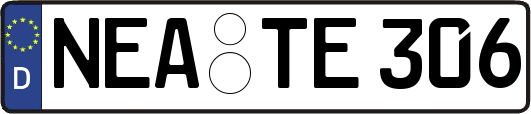 NEA-TE306