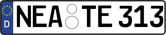NEA-TE313