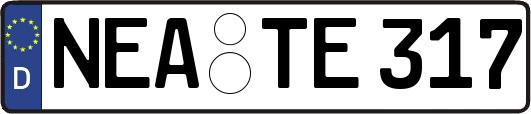 NEA-TE317