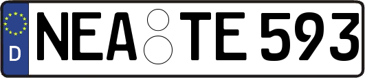 NEA-TE593