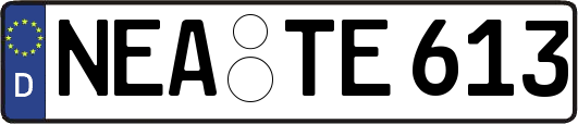 NEA-TE613