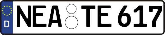 NEA-TE617