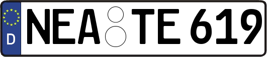 NEA-TE619
