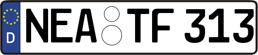 NEA-TF313