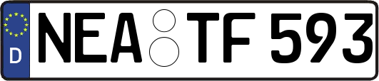 NEA-TF593