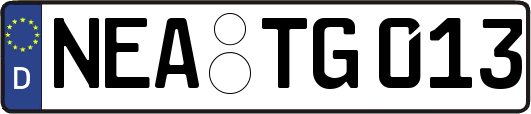 NEA-TG013
