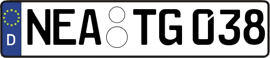 NEA-TG038