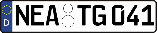 NEA-TG041