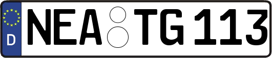 NEA-TG113