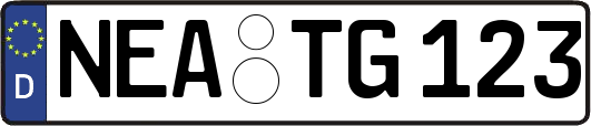 NEA-TG123