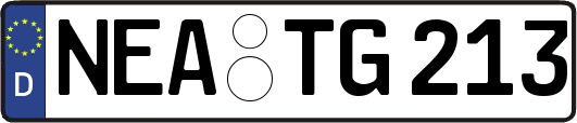NEA-TG213
