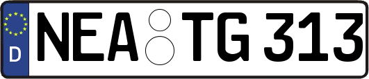 NEA-TG313