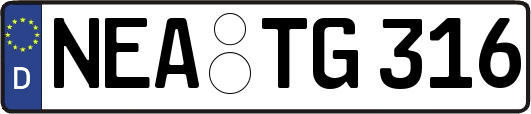 NEA-TG316